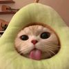 myluvv_saa0