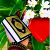rabeamohammed77