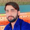 babar.12342