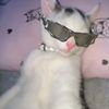 azwa_7070