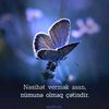 _._._sesizlik_._._