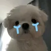 bonsiudth_09