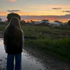 sofixx883
