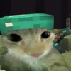 __hoangganhh_