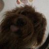 tem_princess143