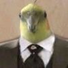 i_okhu