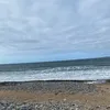 zoeodonnell31