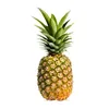 thecommentingpineapple