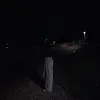 lel1snik