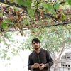 kabir47king