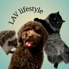 lav.lifestyle.art.pets