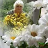 user8854220362577