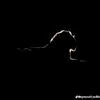 ahmad_hawlery8