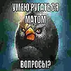 mango14815