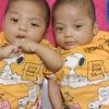 falah.farhan0