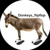 onfs_donkeys_flipflop