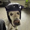 lewinino