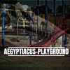 aegyptiacus_playground