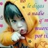 448787osmar