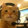 gluskin__