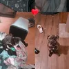 lola.ryder6