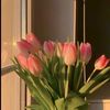 user4570295011618