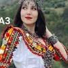 nawel4167