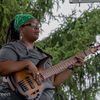 rootz.bass