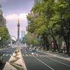 montao.montao5