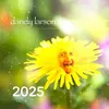 jude30332