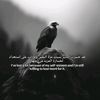 shahd.mahmoud593