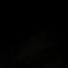 bele_com_holanda