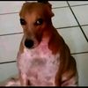 yender_leon3