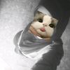calonmama_8