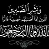 user4341461221742