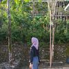 mlsa_evi