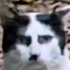 small_creator47