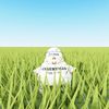 yz298_1