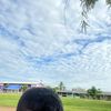 petong662