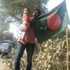 alamgir7165