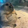 ngocchauty_6868