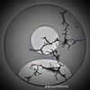 user8184006088314