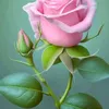 mohamad.ahmad873