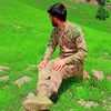 tabish522afd