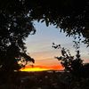 reuben_c153