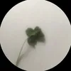 沫