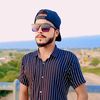 shahbaz.raja295