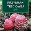 twoja_tesciowa1