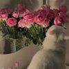 ma.princesse815