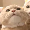 freenbeckyisreal7